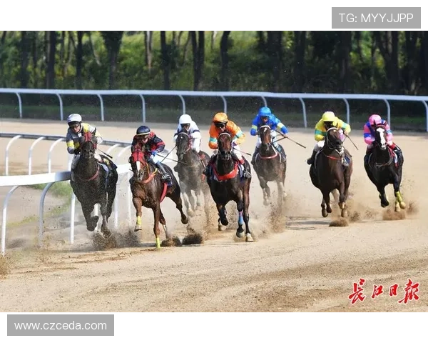 城市赛分析：LNG在比赛中的速度表现与策略探讨