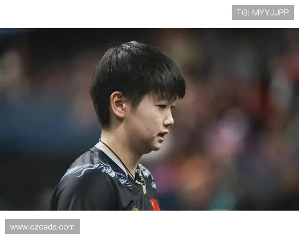 成都乒乓球队逆袭之路揭秘大满贯背后的奋斗与荣耀