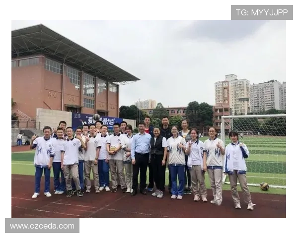 成都排球队技术对比深度解析与发展趋势探讨