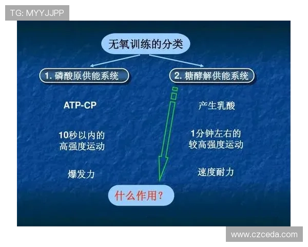 成都羽毛球队的转换打法深度解析与战术创新探讨
