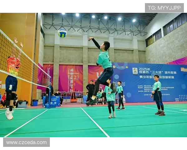 排球盛宴：深入解析成都排球队的战术与技术创新之路